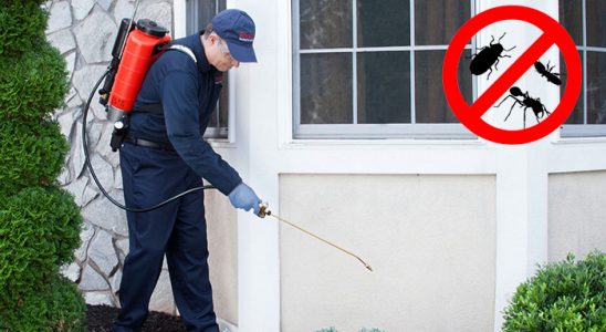 Sarıkaya Hamam Böceği İlaçlama böcek ilaçlama ve haşere kontrolü — ilaclama-tr.com